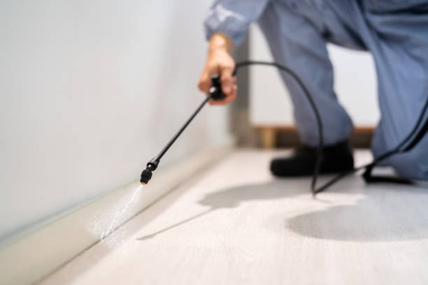 Professional exterminator conducting IPM assessment in Georgetown